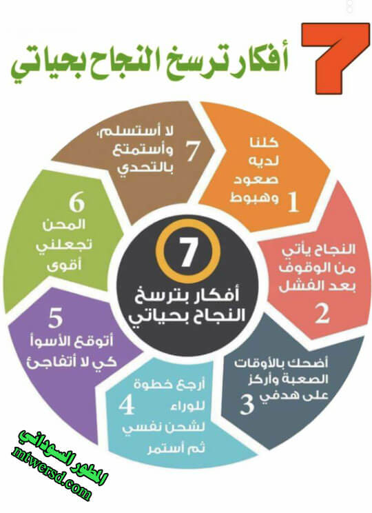 النجاح بالحياة