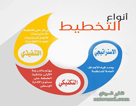 انواع التخطيط للمبيعات