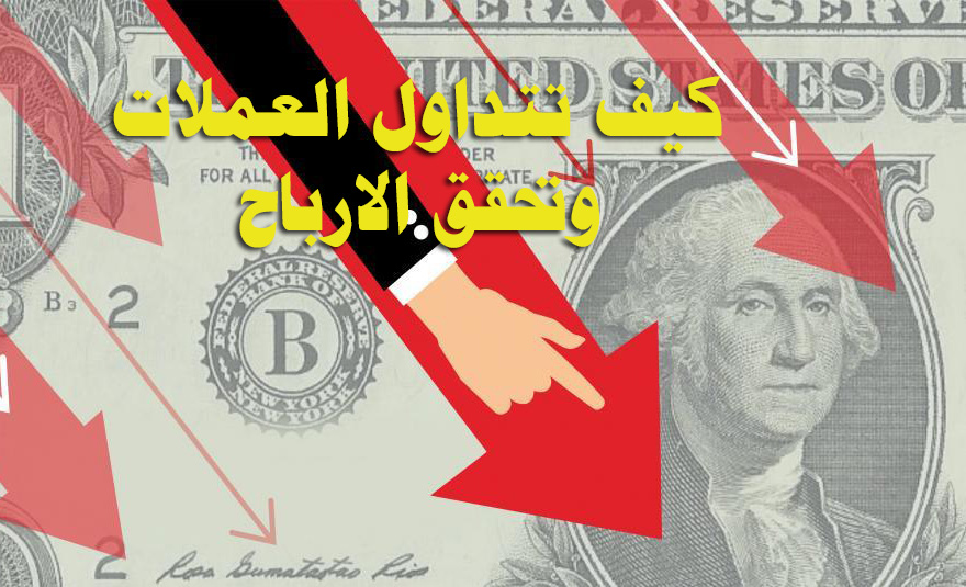 الفوركس