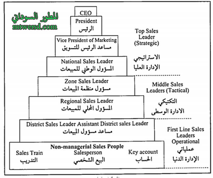 هيكل قيادات المبيعات في التنظيم