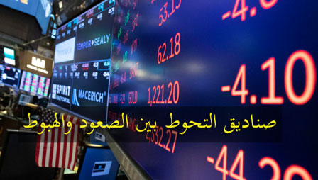 صندوق التحوط بين النجاح والفشل